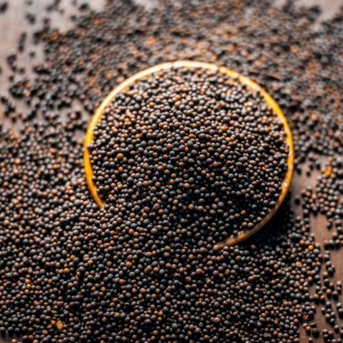 Natural Dry Yellow Mustard Seeds, Packaging Size : 25Kg, 50kg 9%