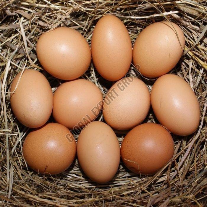 Brown Chicken Eggs