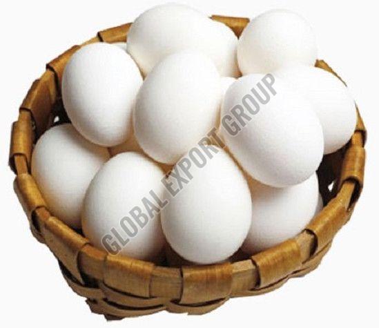 White Chicken Eggs