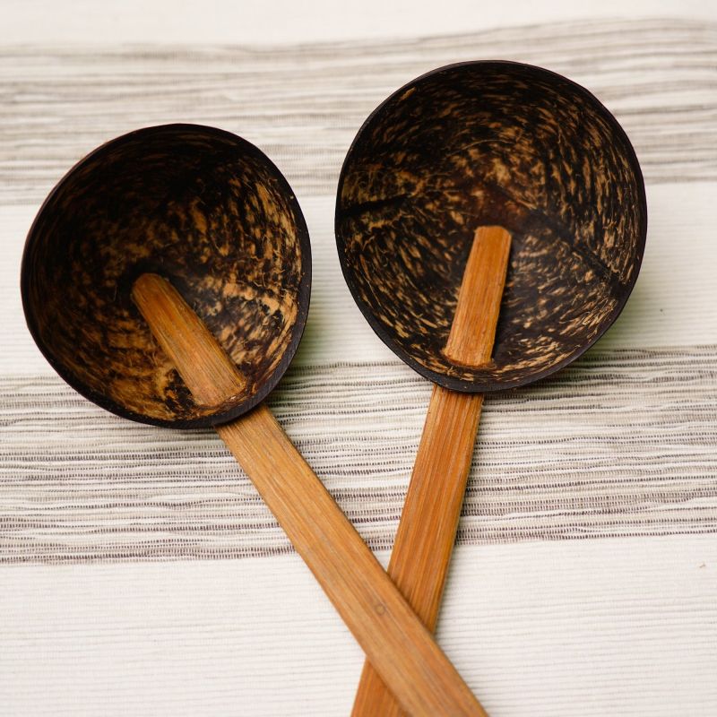 Brown Coconut Shell Serving Spoon