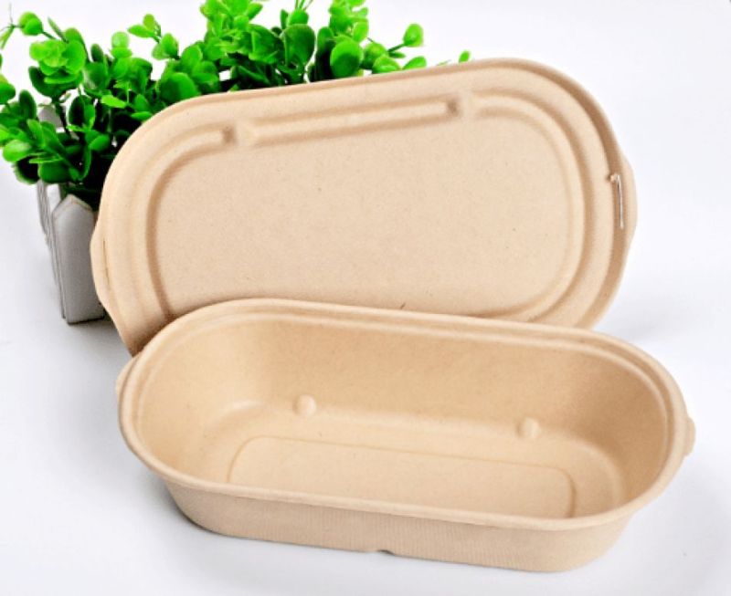 Cornstarch Curved Food Container