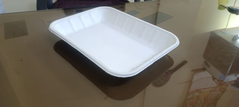 Sugarcane Bagasse Rectangular Plate