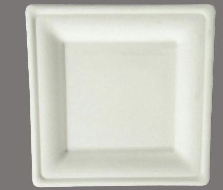 Sugarcane Bagasse Square Plate
