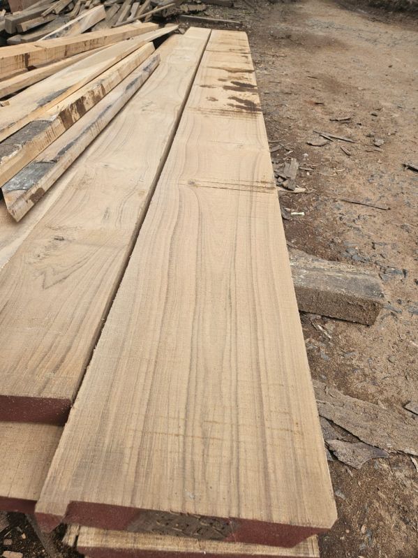 Teak Wood Plank