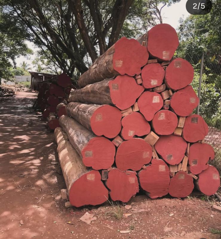 Teak Wood Logs
