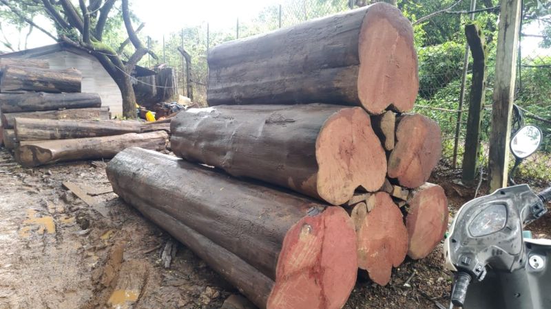 Unfinished Teak Wood Log