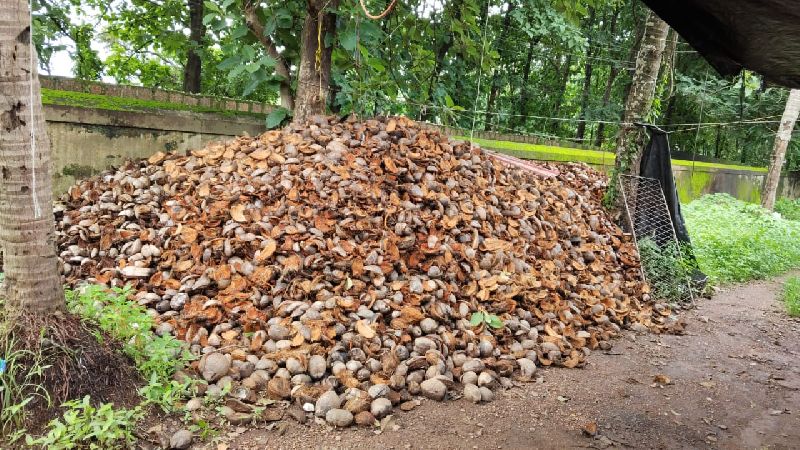 Coconut Husk, Moisture : 2%, Packaging Type : Loose
