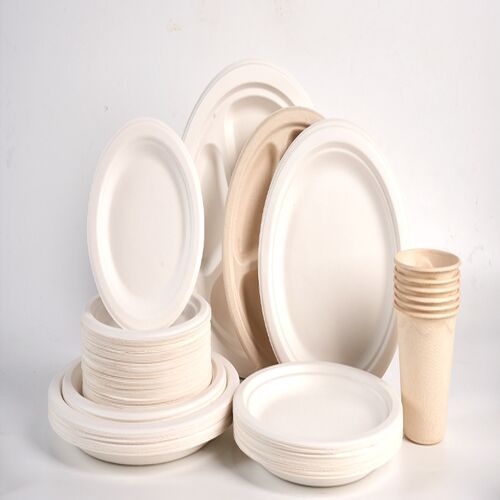 Disposable Bagasse Plate
