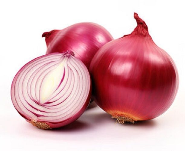 fresh onion