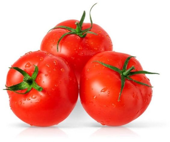 fresh tomato