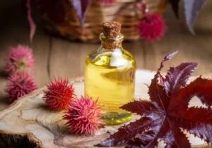 Pale Pressed Grade Castor Oil