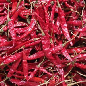 Dry Red Chili