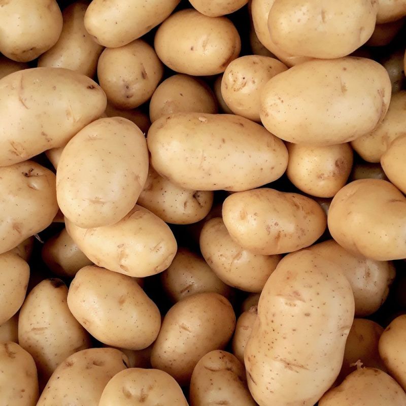 fresh potato