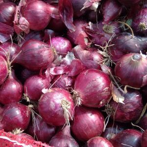 fresh red onion