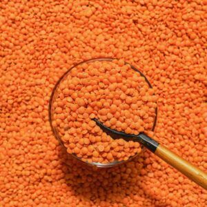 Masoor Dal, Color : Red, Packaging Type : Plastic Bag for Cooking