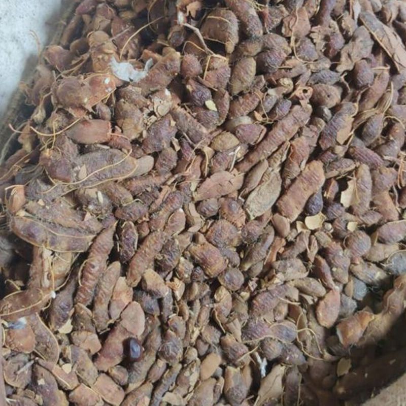 Tamarind (Imli)