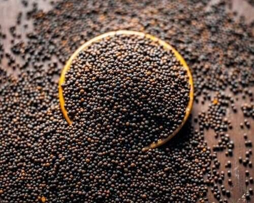 Black Mustard Seeds