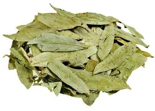 Senna Leaves, Packaging Type : Plastic Paper Packet
