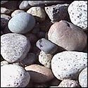 Natural Mix Colored River Bed Pebbles