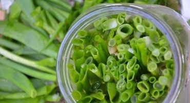 Green Onion Brine