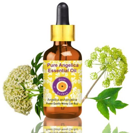 Pure Angelica Essential Oil