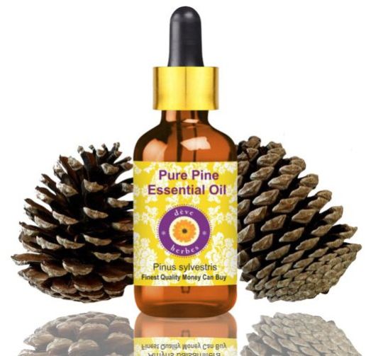 Pure Pine Essential Oil