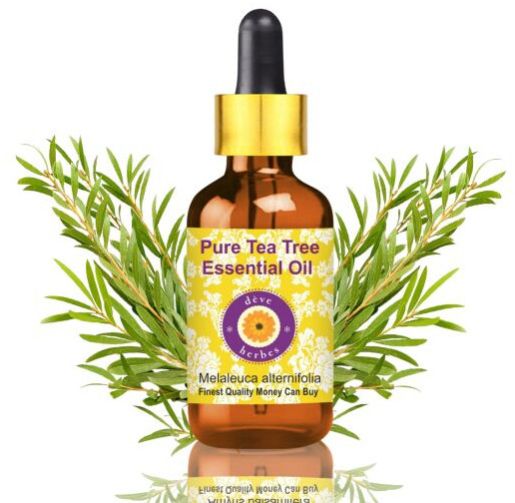 Pure Tea Tree Essential Oil