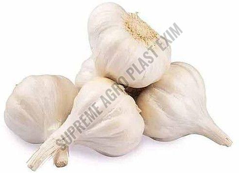 A Grade Fresh Garlic, Color : White, Packaging Type : Mesh Bag