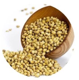 coriander seeds