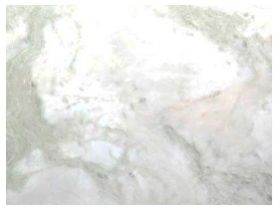 Polished Alba Chiara White Onyx Marble Standard