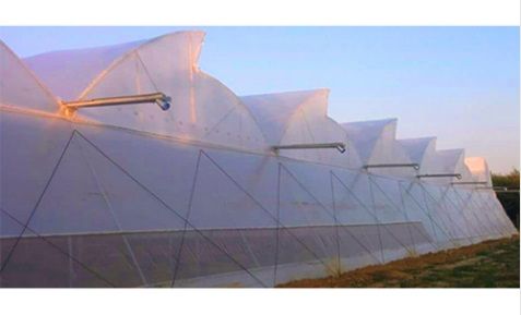 Green House White Covering