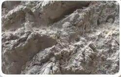 Fly Ash