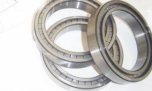 Single Row Full Complement Cylindrical Roller Bearings