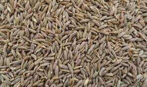 Cumin Seeds, Color : Brown, Packaging Type : Plastic Bag, Jar