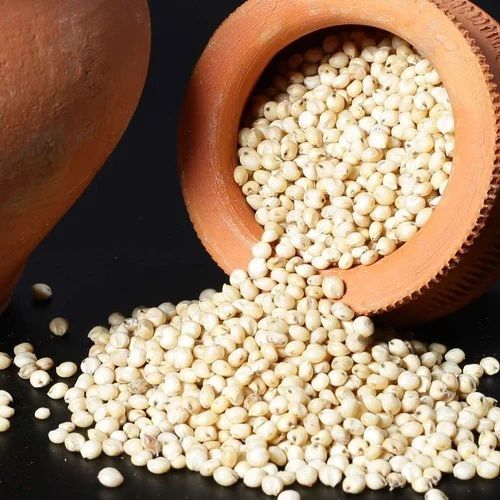 Rasveda Jowar Millet Seed, Color : Natural for Cooking Ingredient