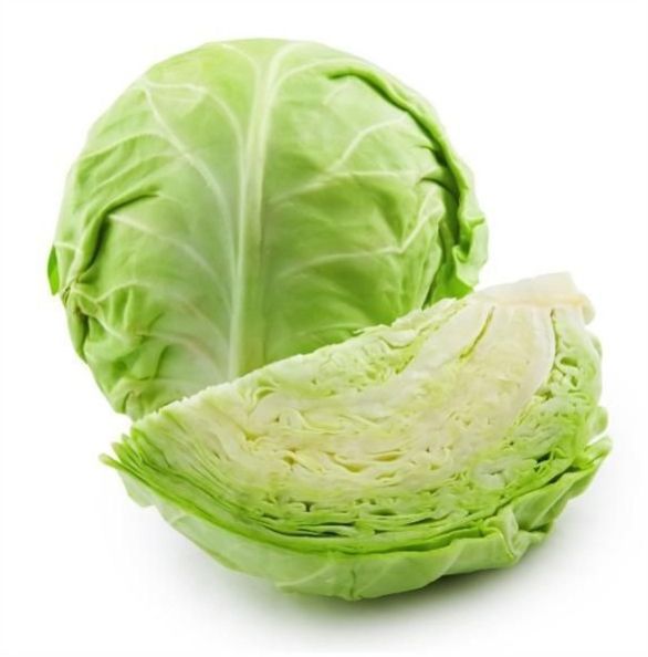 A Grade Green Fresh Cabbage
