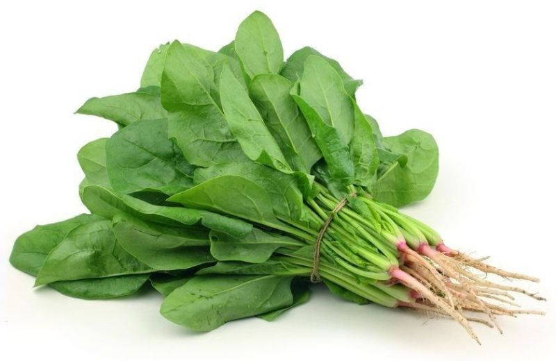 Fresh Green Spinach Leaves