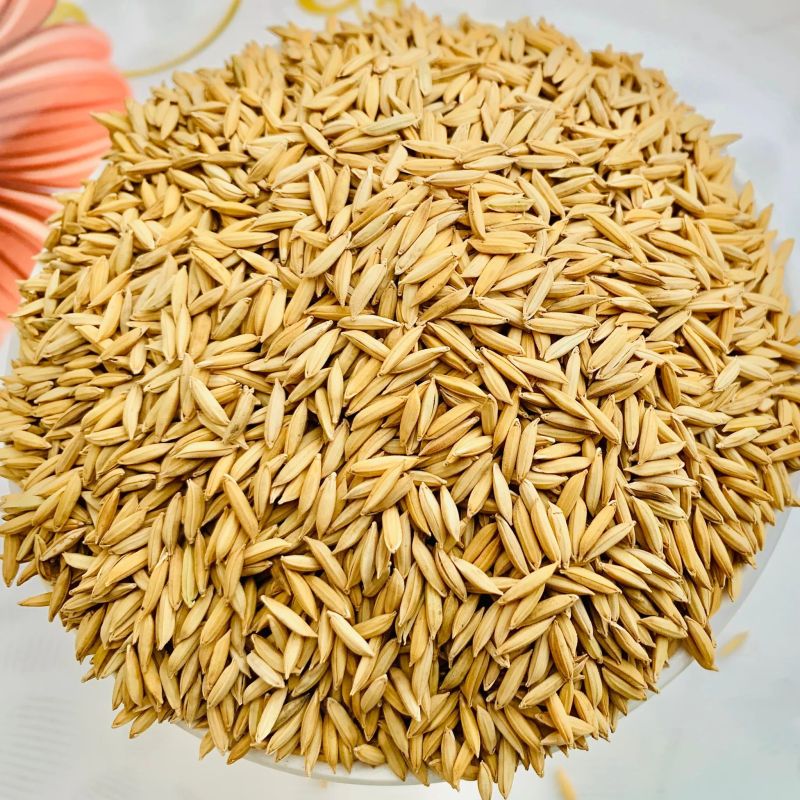 Natural Yellow Paddy Seed