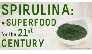 organic spirulina powder