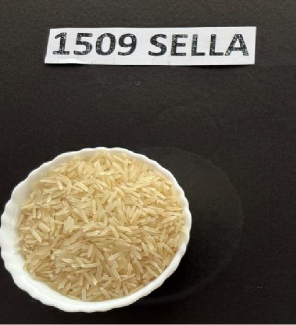 1509 Sella Basmati Rice