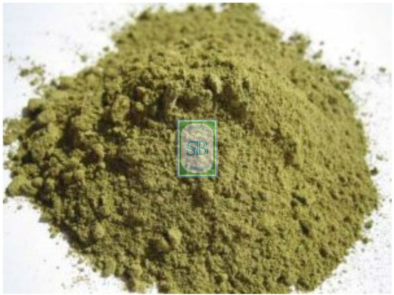 neem leaf powder