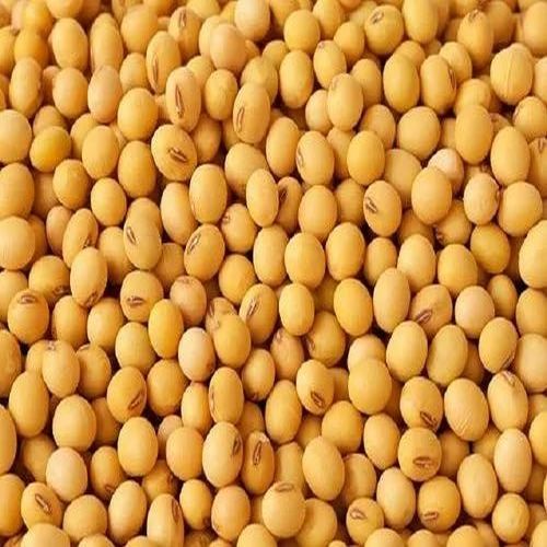 Indian Soya Beans