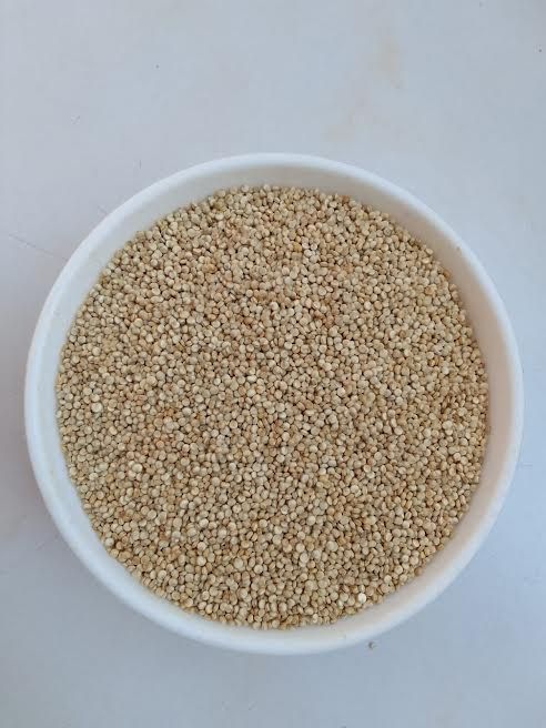 Indian Quinoa Seeds