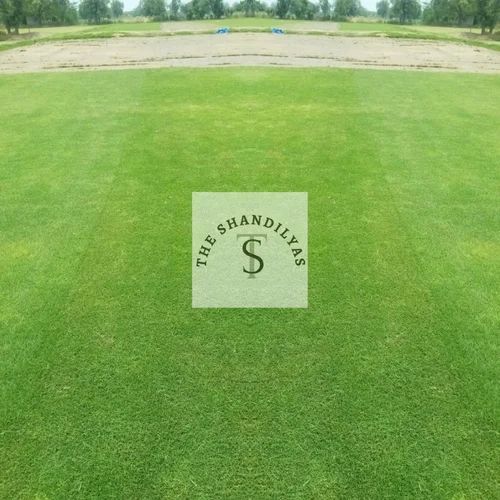 Plain Bermuda Grass Carpet 5 Feet, Technics : Machine Made for Garden