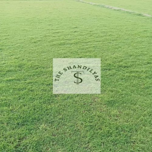 No. 1 Grass Carpet, Color : Green Standard, 5ft x1ft for Garden
