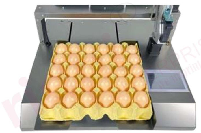 Ridhi Egg Stamping-Coding Machine