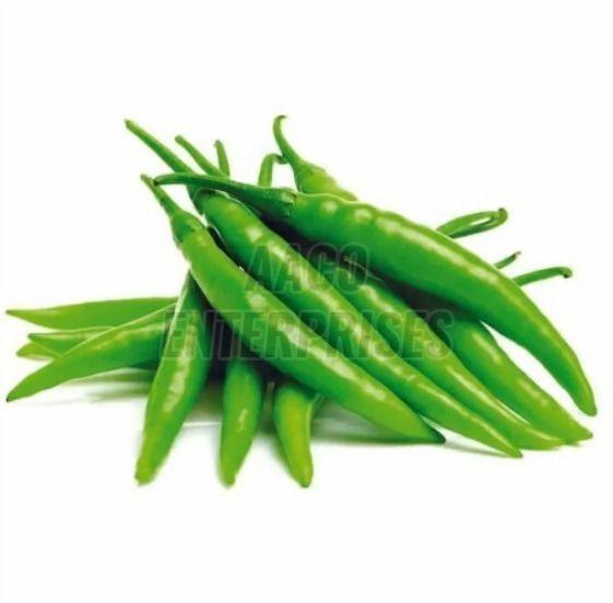 Fresh Green Chili