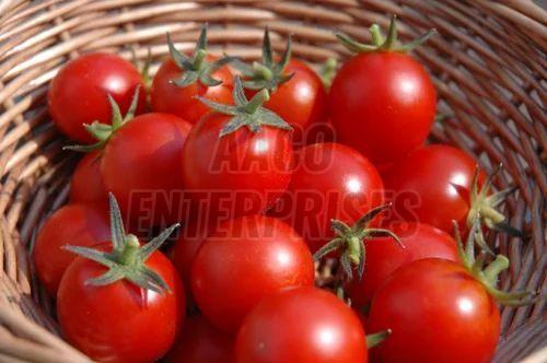 fresh tomato