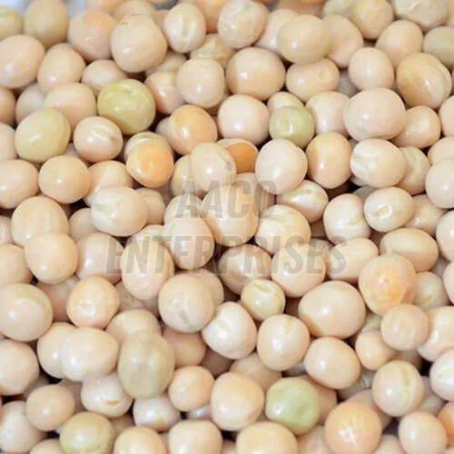 white pea beans