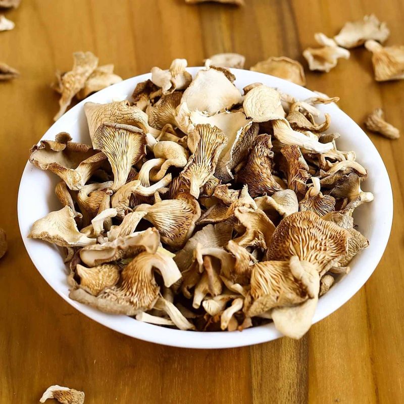 Dehydrated Dry Mushroom